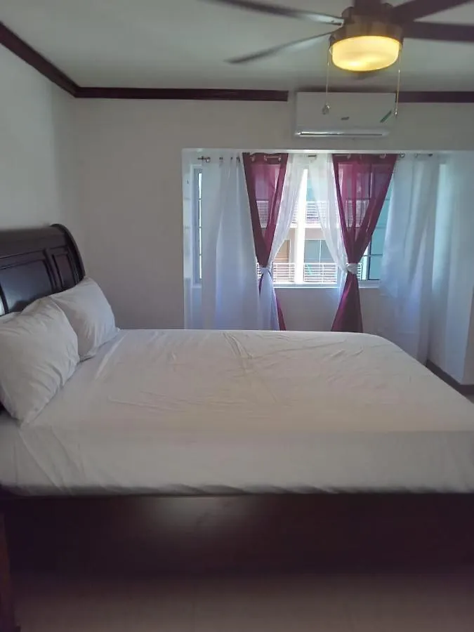 Brompton Penthouse Διαμέρισμα Κίνγκστον